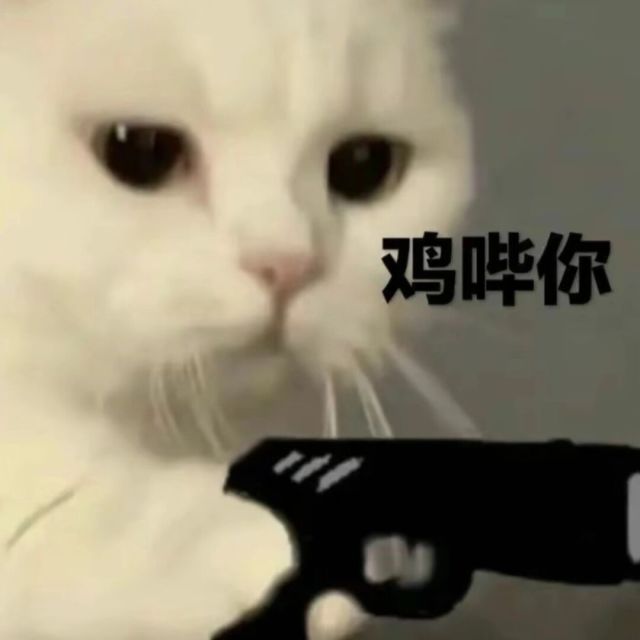 王心汝